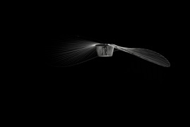 constance_guisset_lampe_vertigo_photography_01.jpeg
