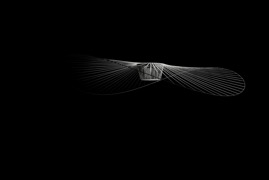 constance_guisset_lampe_vertigo_photography_012.jpeg